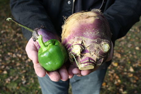 Matt with Vegetables