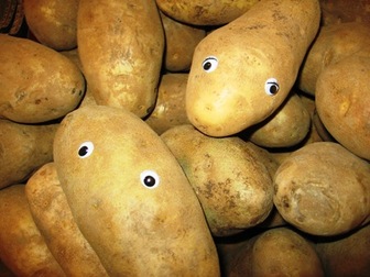 Potato_pair