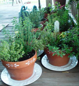 Pretty Centerpieces All in a Row