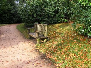 Stourhead - A Robin