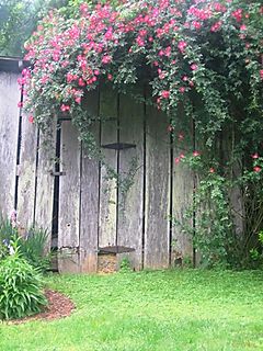 Barn