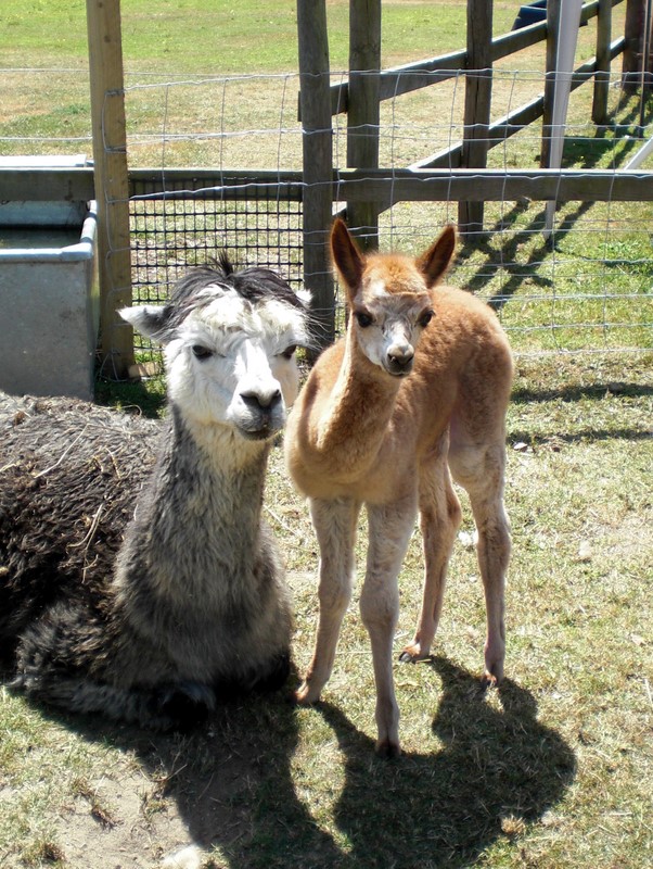 Pandora and Mum